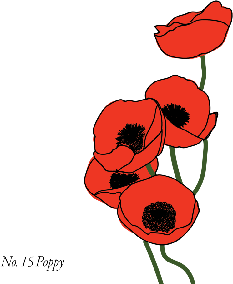 Poppy-15 - Portable Network Graphics (1000x1000)