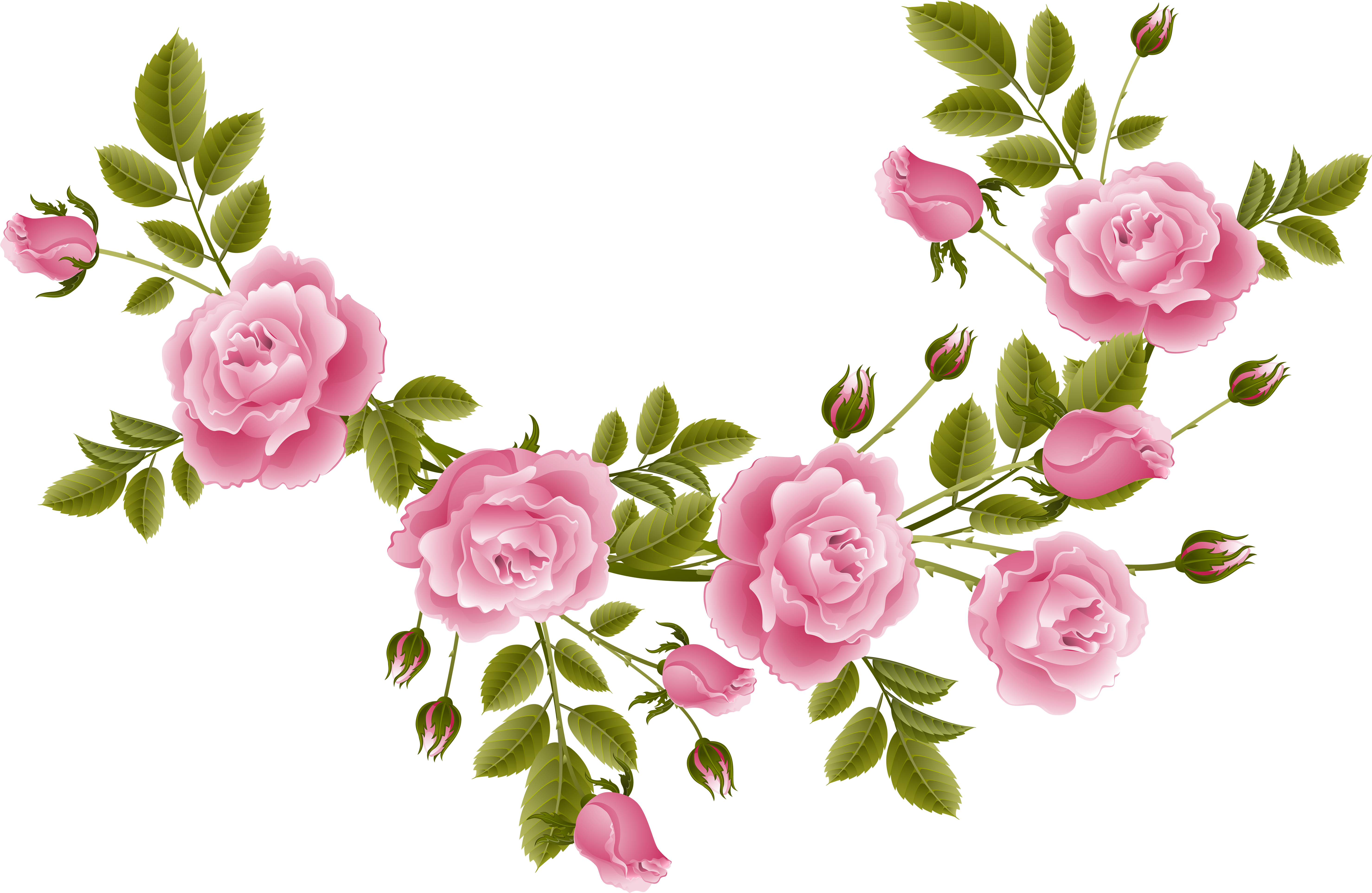 Garden Roses Flower Clip Art - Garden Roses Flower Clip Art (6000x3902)