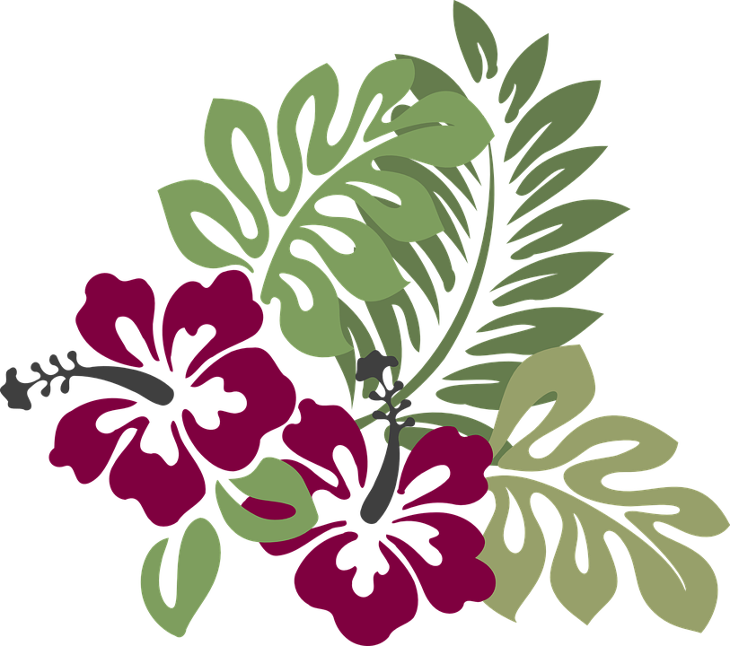 Free Vector Graphic - Hibiscus Clip Art (813x720)