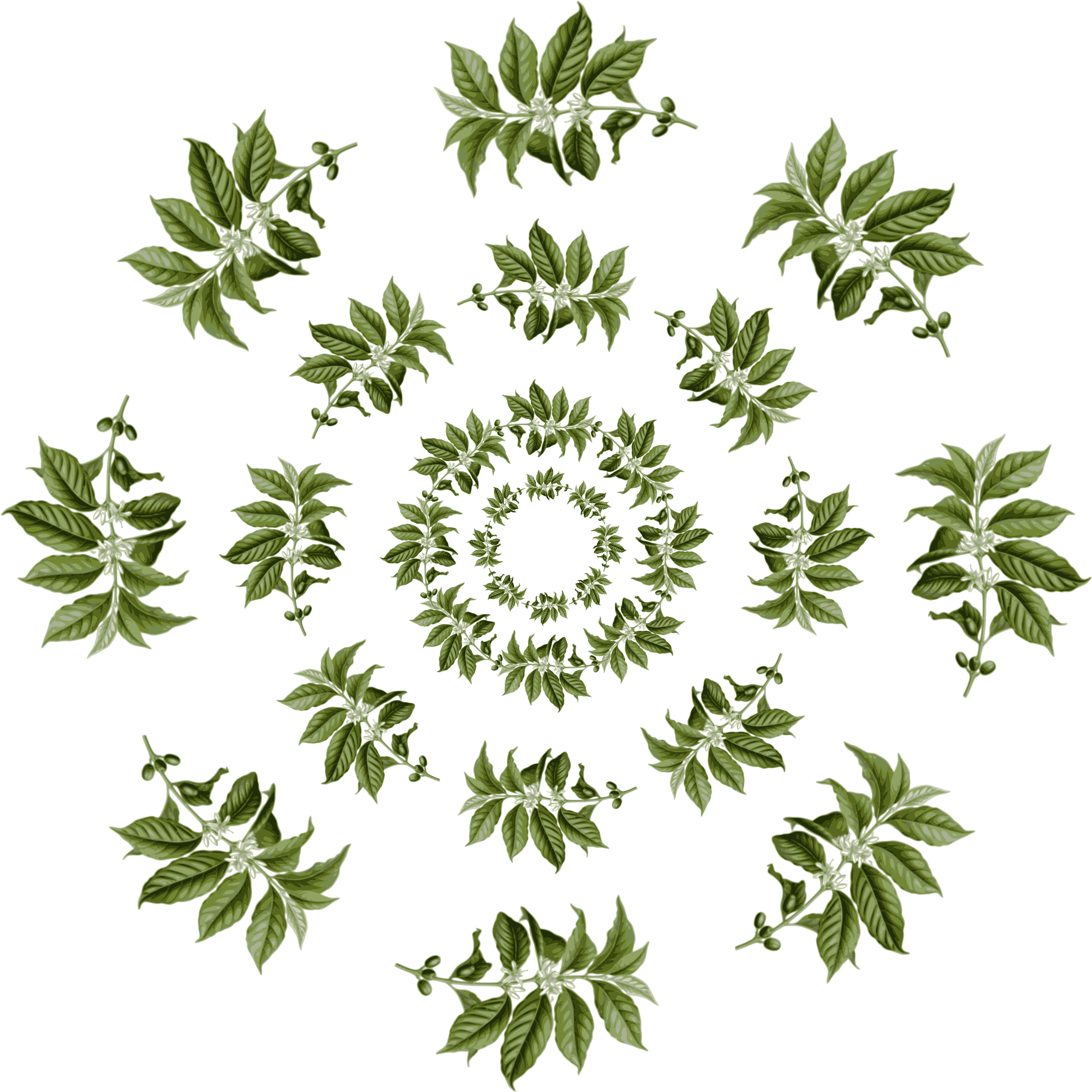 Big Image - Fifty Plants That Changed The Course Of History (2400x2400)