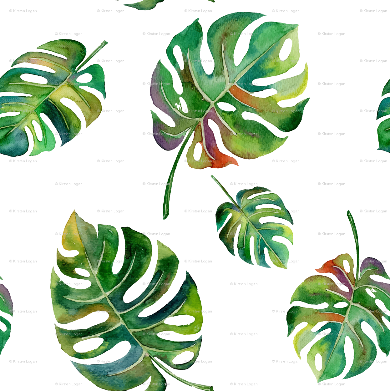 Tropical Island Palms Palm Leaves Watercolor Wallpaper - Watercolor Tropical Leaves Png (1247x1250)