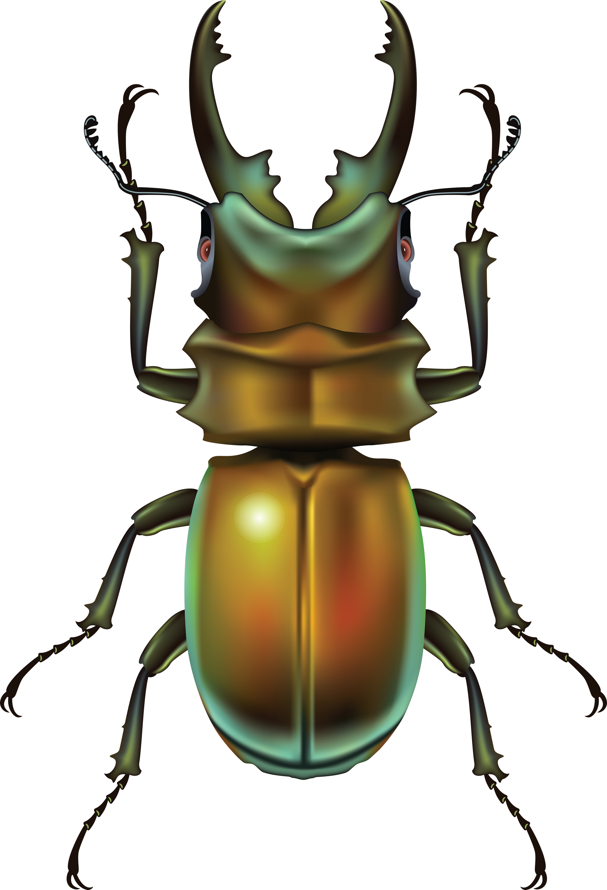 Bug Clipart Clipartfest - Insect .png (2352x3450)