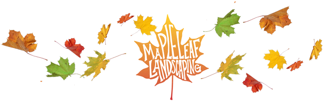 Contact Maple Leaf Landscaping Today - Maple Leaf Landscape & Nursery (707x236)