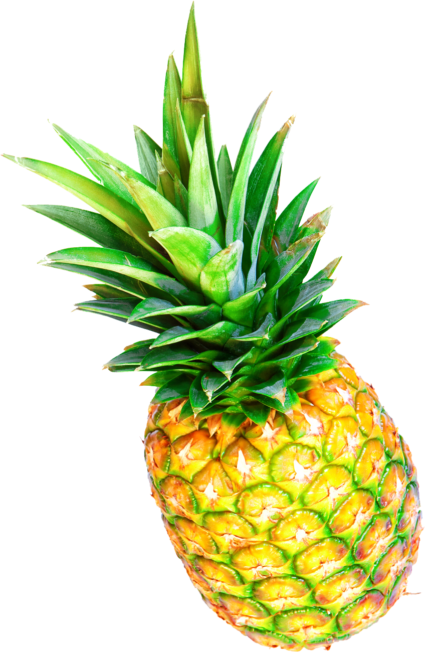 Pineapple Tropical Fruit Photography - Pineapple (1000x1500)