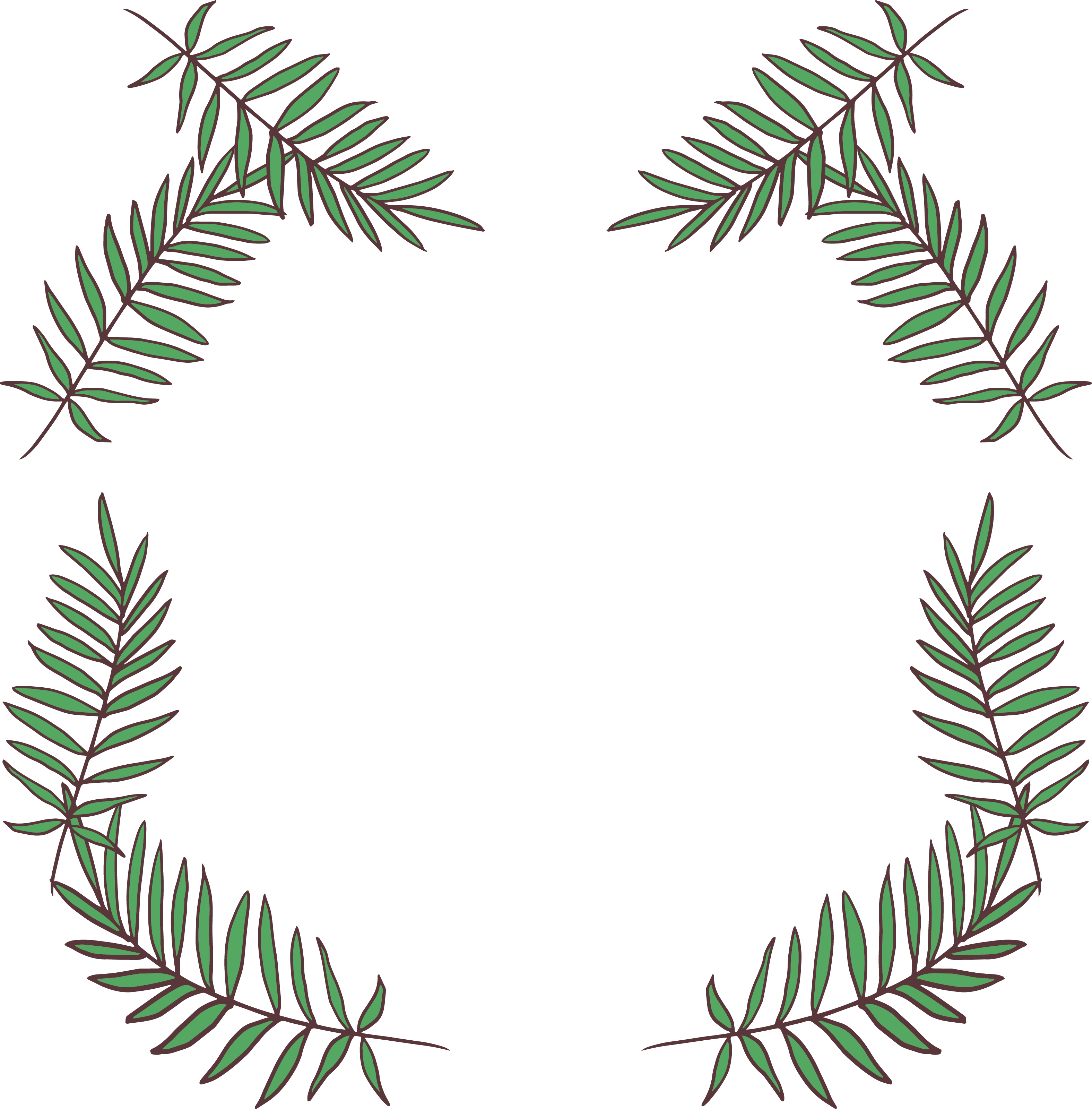 Fir Leaf Pine - Pine (3150x3198)