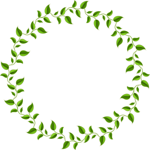 Green Leaves Plants Frames - Transparent Leaf Circle Border (500x500)