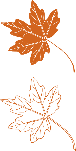Fall Leaves Clip Art (300x595)