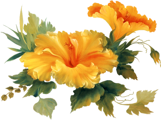 Armazém Das Flores - Lantern Hill Hummingbird With Hibiscus Flower Garden (512x384)