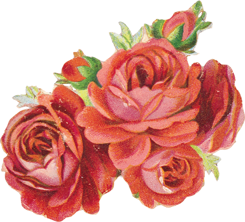 Victorian Die Cut - Penelope Stationery Cards - Set Of 3 (500x453)