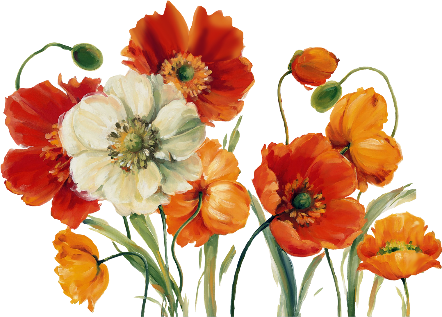 V 198234935, Png V - Lisa Audit - Poppies Melody Canvas (1600x1222)