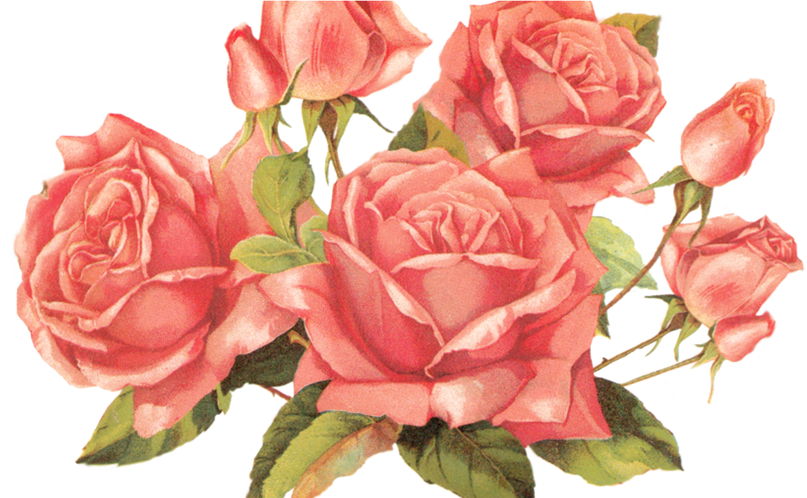 Rose Vintage Png (1280x720)