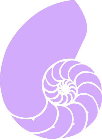 Purple Nautilus Shell Clip Art At Clker - Purple Sea Shell Png (438x595)