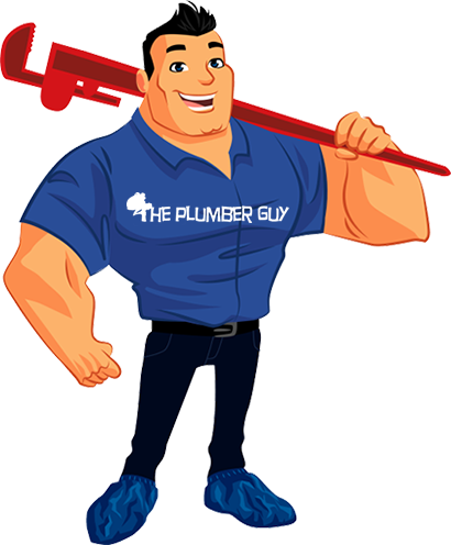 Checkout Our Great Product Options And Specials - Professional Plumber (410x496)