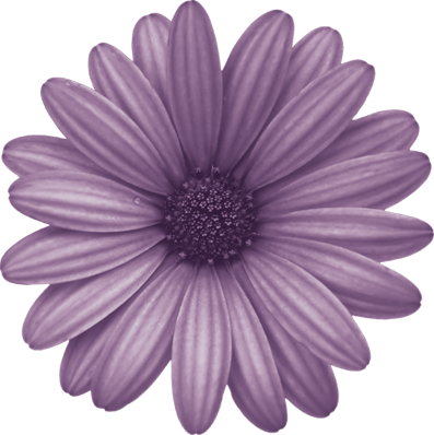 Png Flor Mediana By Yourprincessofstory - Flower (397x398)