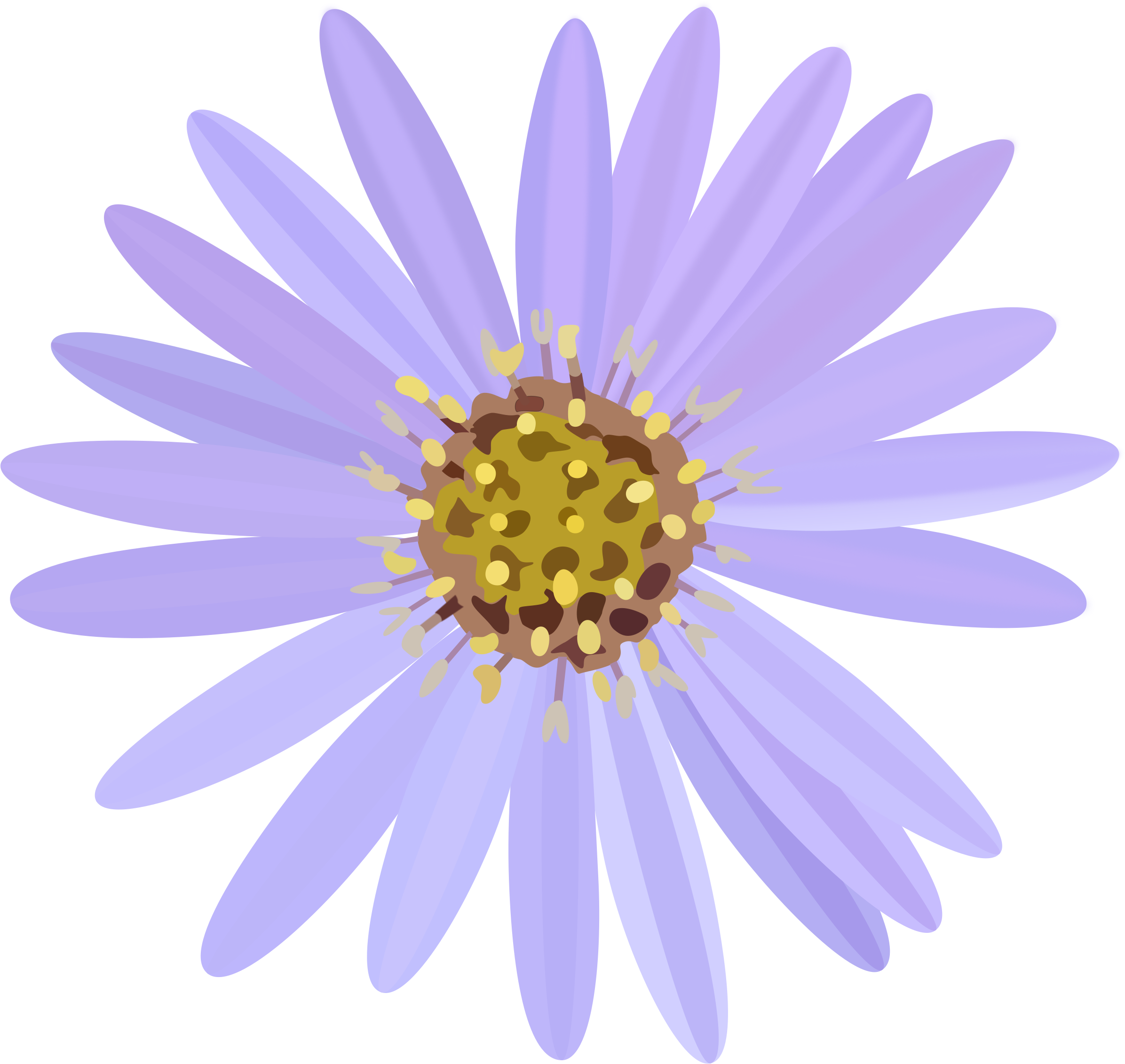 Aster Transparent Png - Aster Flower Png (2400x2271)