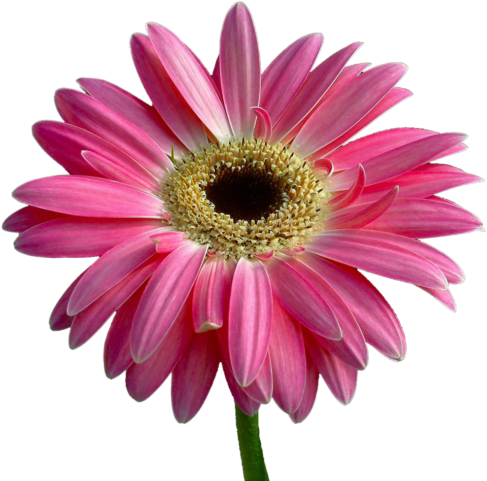 Bible Fine Motor Skill Child God - Bible Fine Motor Skill Child God (1600x1000)