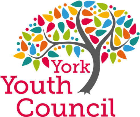 At York Youth Council, We Strive To Represent Young - Love You This Much (512x512)