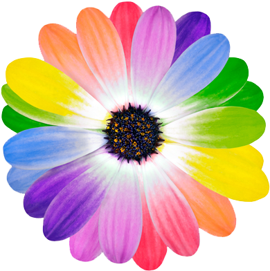 פנייה כללית - My Little Pony Party Free Printable (447x434)