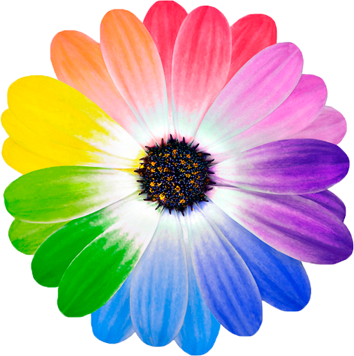 Цветик-семицветик - My Little Pony Party Free Printable (512x515)