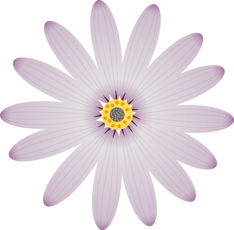 Medium Image - Portable Network Graphics (800x785)