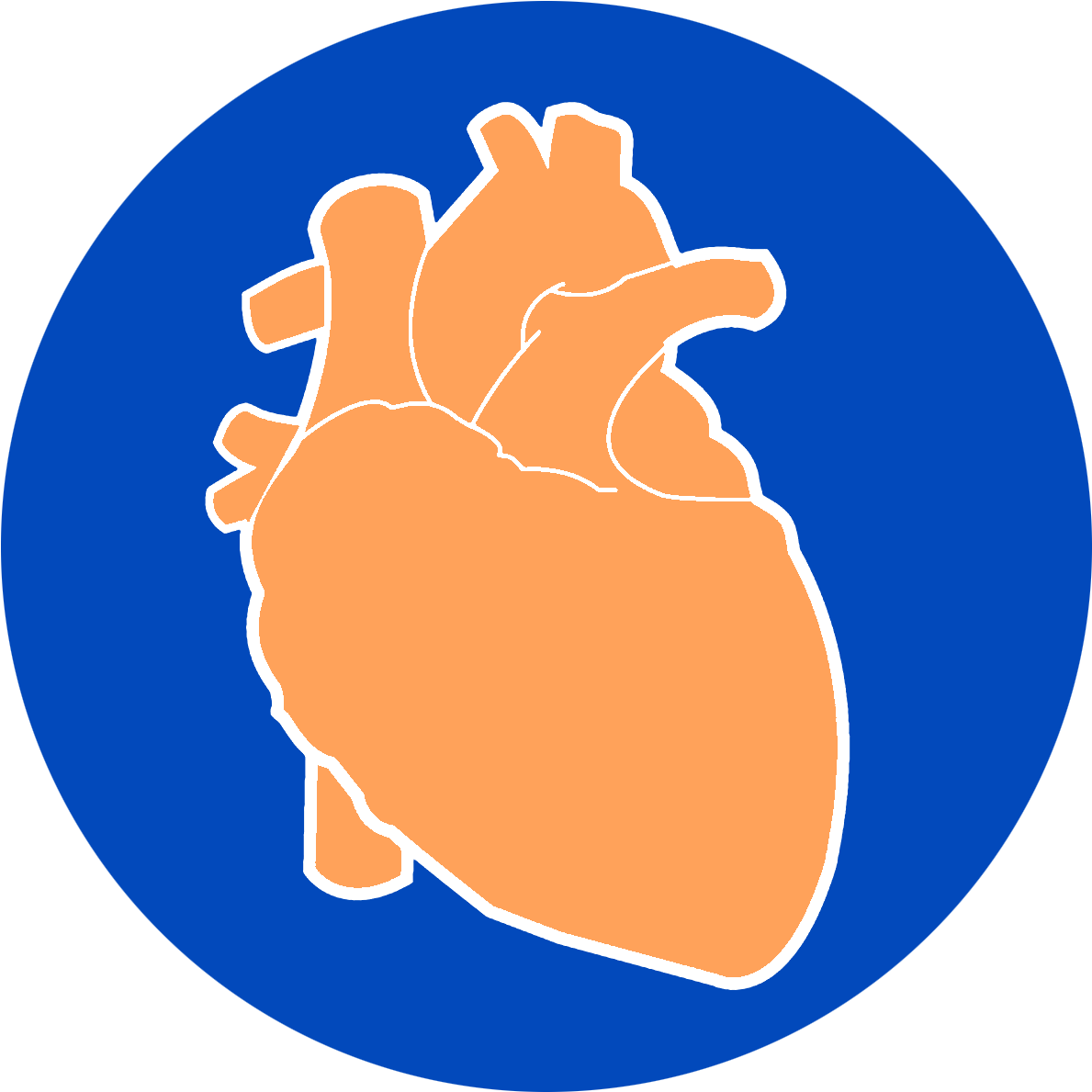 Chest Pain, Hypertension, Arrhythmia, Anemia, Palpitations - Chest Pain, Hypertension, Arrhythmia, Anemia, Palpitations (1200x1200)