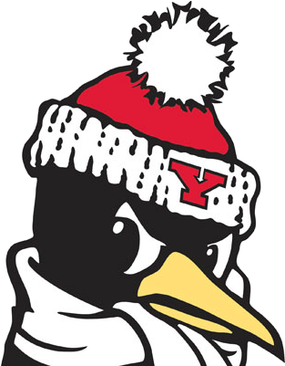 Youngstown State - Youngstown State University Logo (400x400)