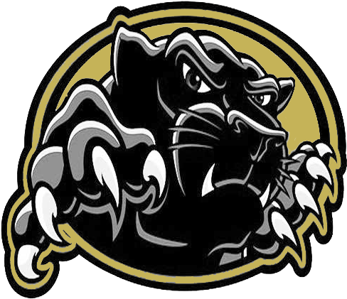 St - - Sports (500x499)