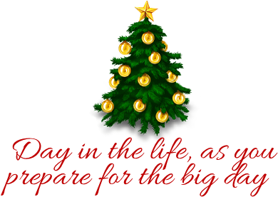 Buttons For Every Day - Christmas Tree Oval Car Magnet (492x284)