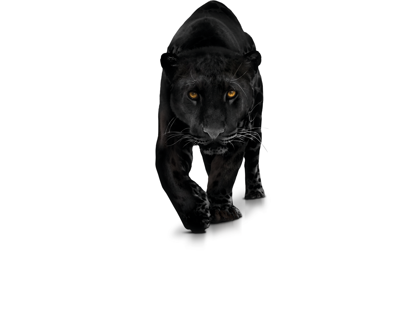 Black Panther Png Transparent Images - Panther Png (1400x1100)
