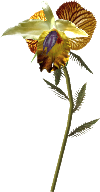 2tds4yq - " - Dragon Tongue Plant (478x638)