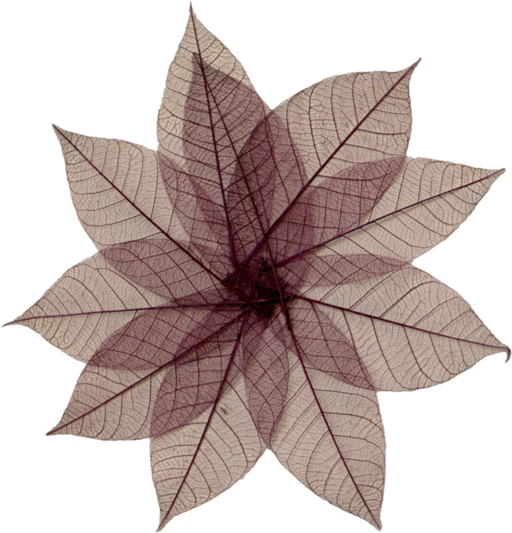 Pressed Flower Craft (1024x1070)