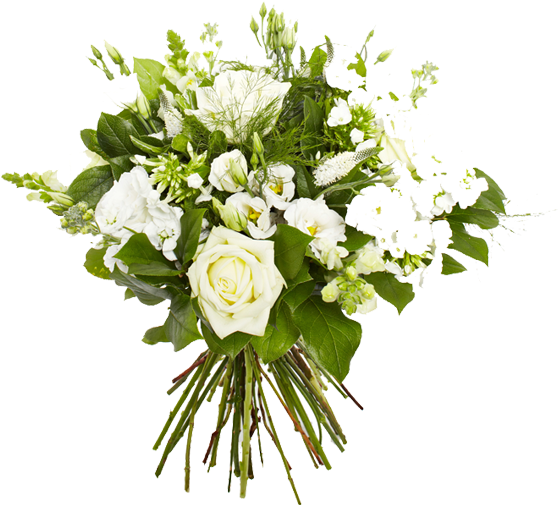 Ginkgo Florists We Deliver Beautiful Bouquets Plants - Flower (734x506)
