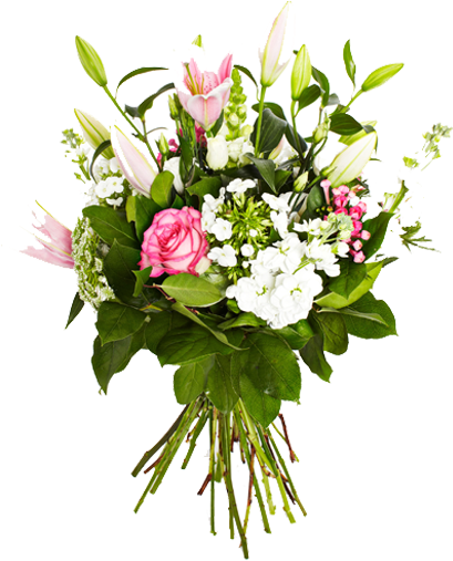 Ginkgo Florists We Deliver Beautiful Bouquets Plants - Beautiful Flowers Plants In Dubs (734x506)