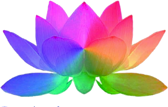 Miami Lotus Massage - Rainbow Lotus (603x377)