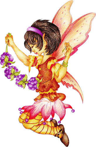 Mariposas Libélulas - Illustration (328x504)