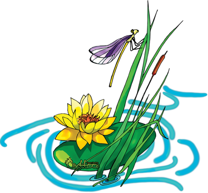 Tulipa Humilis (420x390)