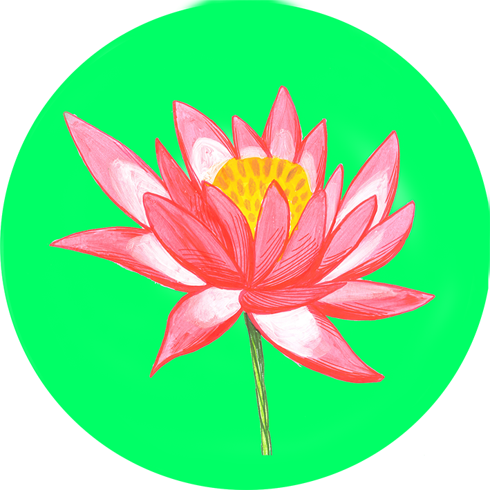 Sacred Lotus (709x709)