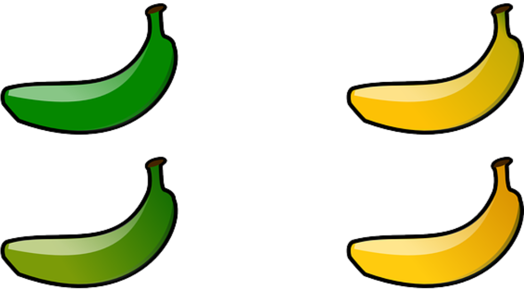 Why You Should Eat Green Bananas - Why You Should Eat Green Bananas (1024x585)