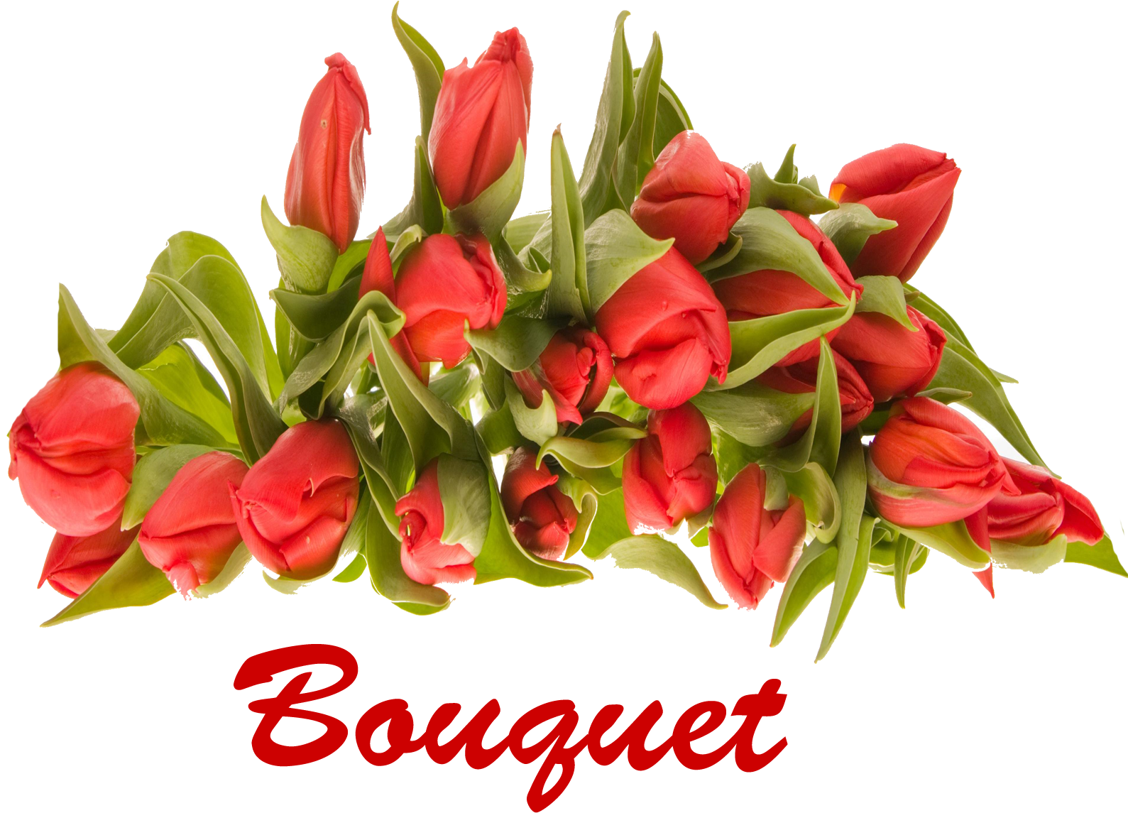 Bouquet Of Flowers Png Picture - Portable Network Graphics (1920x1200)
