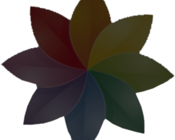 Rosace-726x580 - Macro Photography (726x580)