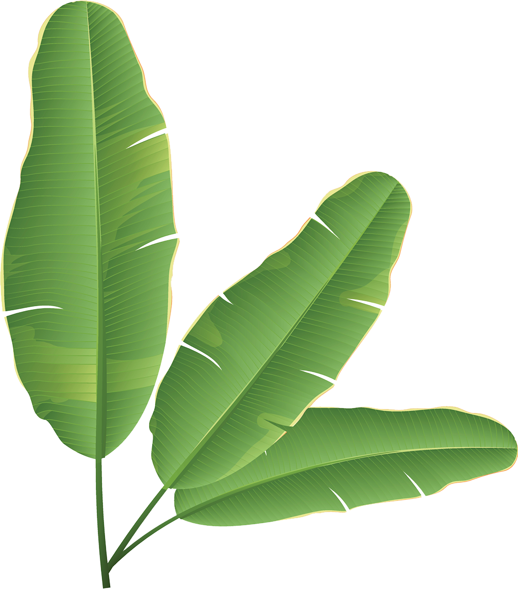 Banana Leaf Banana Bread Clip Art - Banana Leaves Clip Art (1021x1162)
