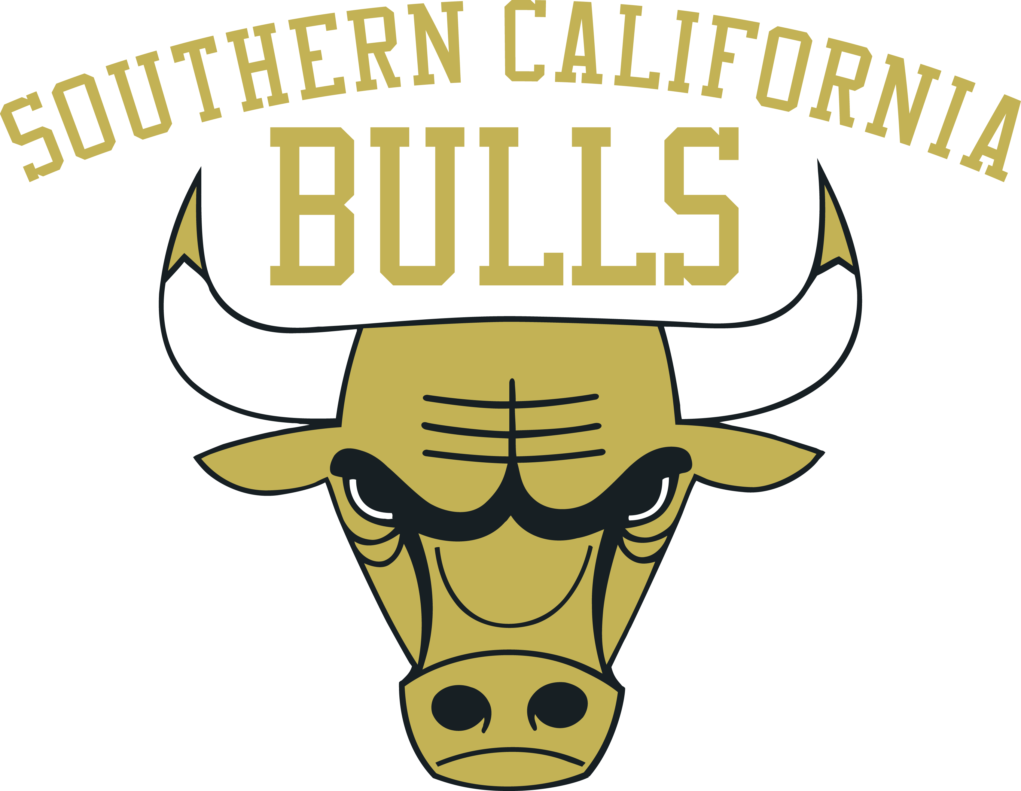 Socal Bulls Tryouts Lacrosse - Lacrosse (3398x2633)
