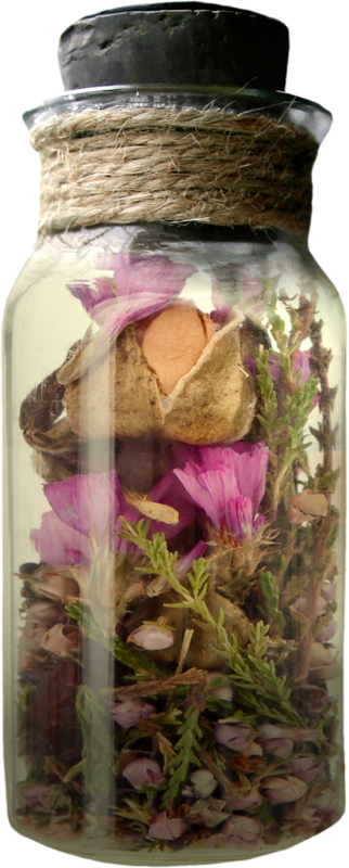 Bottle Pressed Flower Craft Glass - Bottle Pressed Flower Craft Glass (322x800)