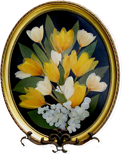 Examples Of Pressed Bridal Bouquets With Flowers Only - Bouquet (542x623)