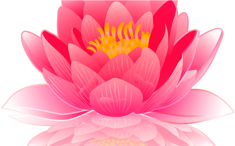 Finding The Path Clerical Domination - Feliz Miercoles (800x491)