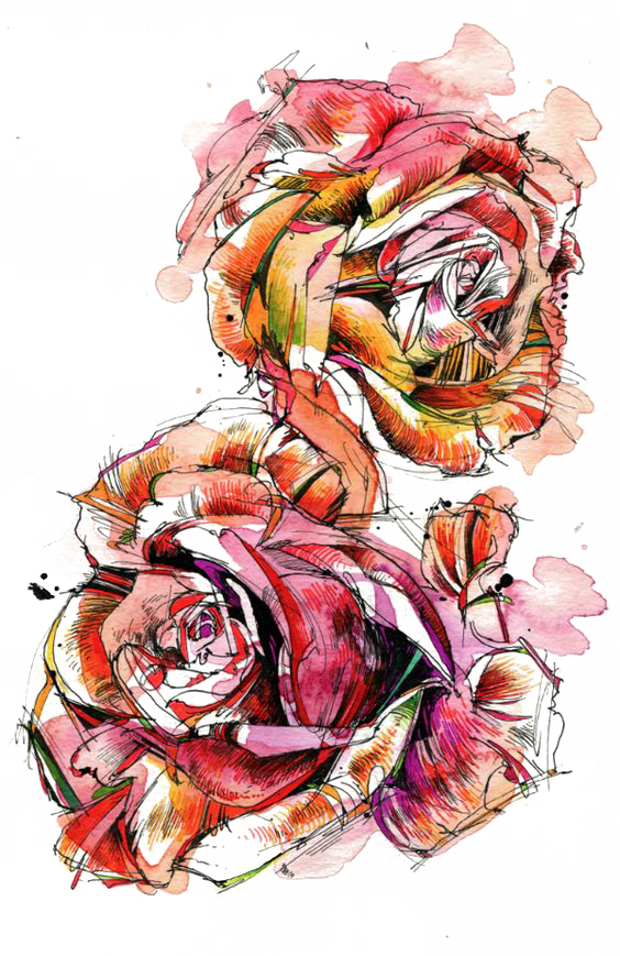 Rose Watercolor Painting Drawing - Rose Watercolor Painting Drawing (564x869)