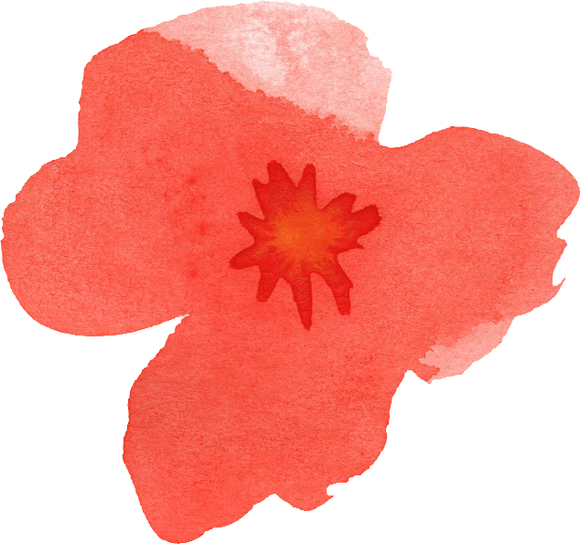 Watercolour Flowers Watercolor Painting Poppy - Watercolour Flowers Watercolor Painting Poppy (634x595)