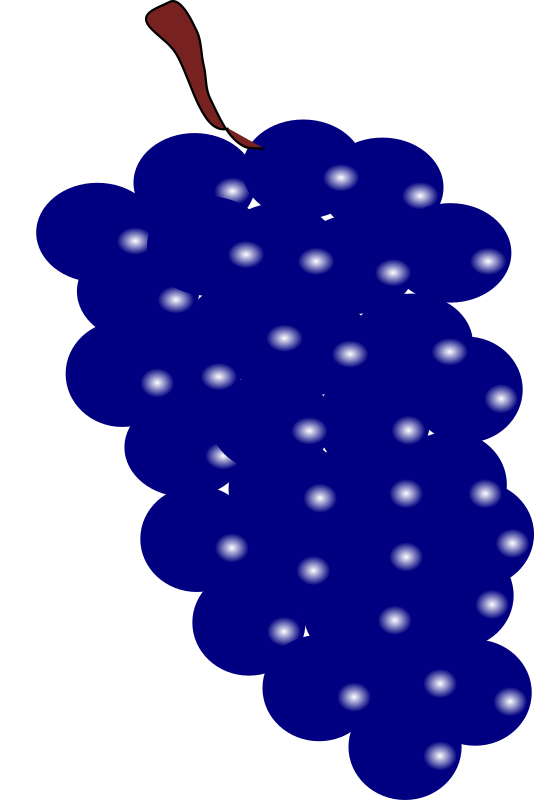Grape Blue - Small Grape Clip Art (1601x2400)