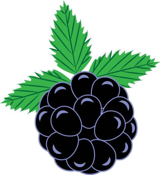 Blackberry Curve Clip Art - Clip Art (600x600)
