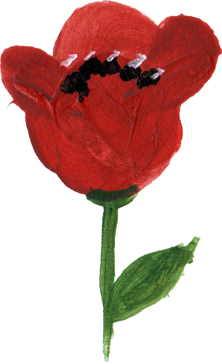 Poppy Flower Garden Roses Petal - Poppy Flower Garden Roses Petal (728x1190)